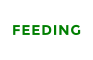 FEEDING